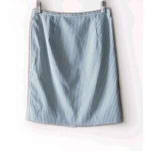 Ann Taylor LOFT Womens Petite 4P Blue White Striped Career Skirt Lined Mom GUC